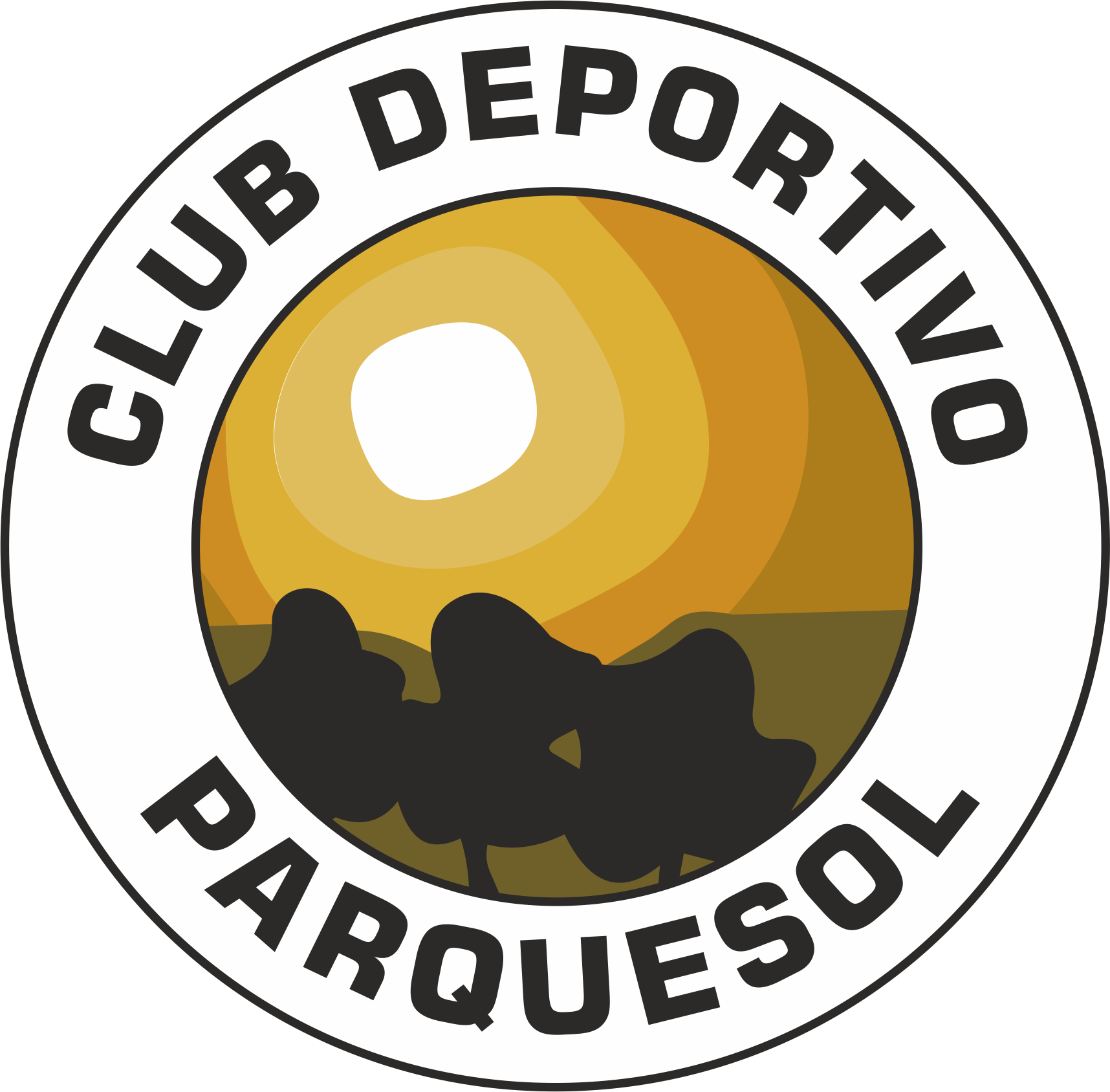 C.D. Parquesol